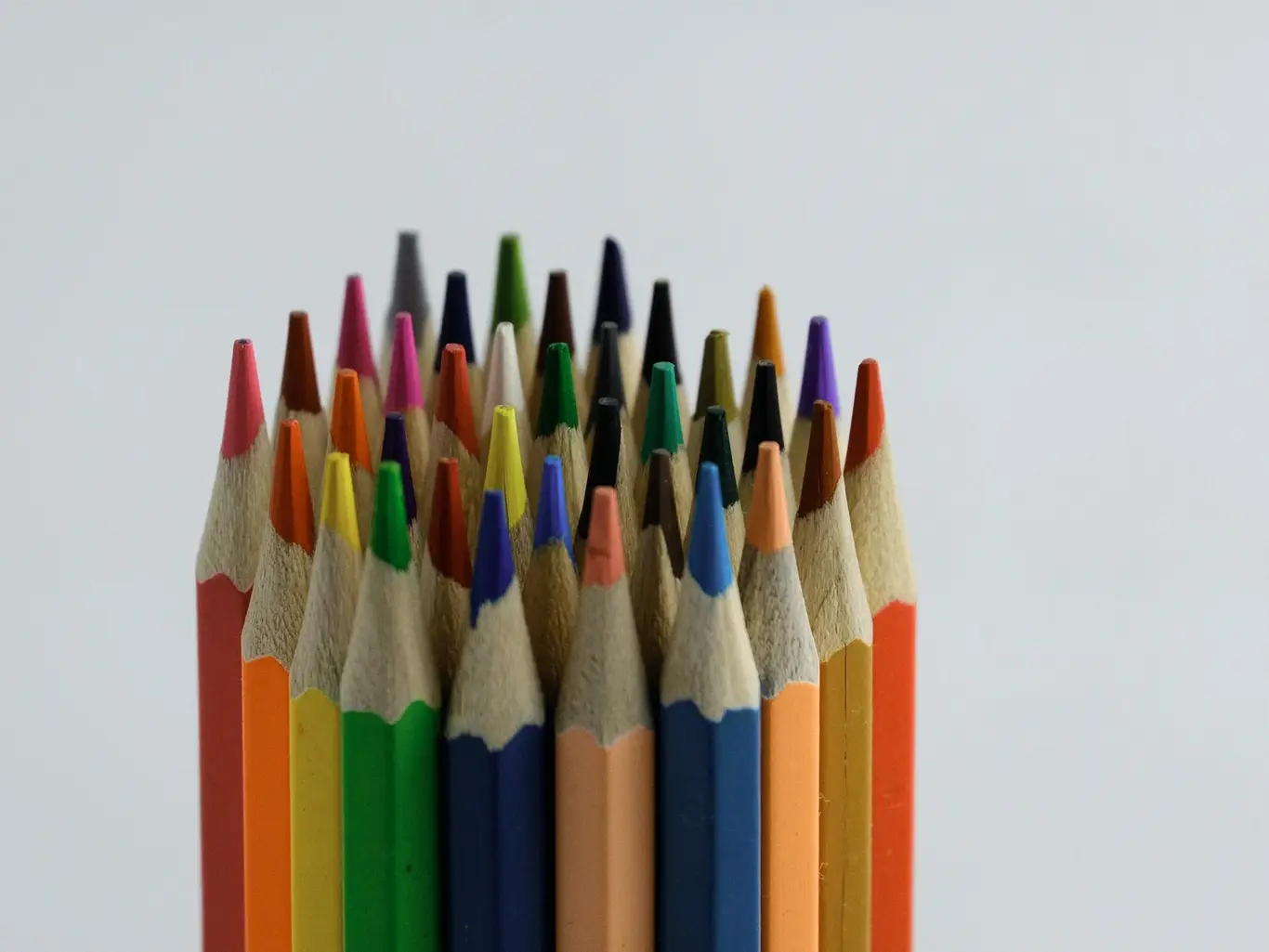 Coloured pencils beside a printed page