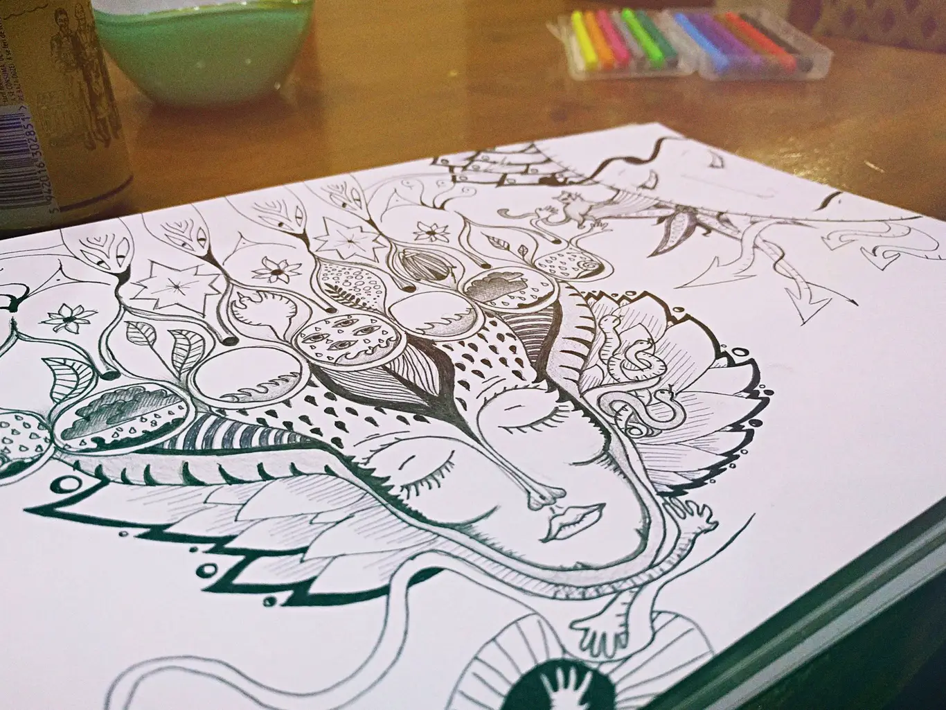 Simple outline drawing for children